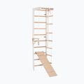 Гимнастическа стълба RINAGYM SPR B+SLIDE 3
