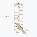 Гимнастическа стълба RINAGYM SPR B+SLIDE 5