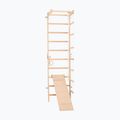 Гимнастическа стълба RINAGYM SPR B+SLIDE 2