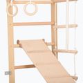 Гимнастическа стълба RINAGYM SPR B+SLIDE 5