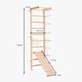 Гимнастическа стълба RINAGYM SPR B+SLIDE 6