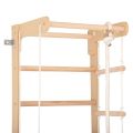 Гимнастическа стълба RINAGYM SPR B 4