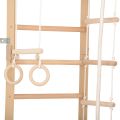 Гимнастическа стълба RINAGYM SPR B 5