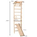 Гимнастическа стълба RINAGYM SPR A+SLIDE 6