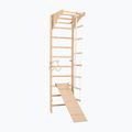 Гимнастическа стълба RINAGYM SPR C+SLIDE 2