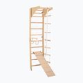Гимнастическа стълба RINAGYM SPR C+SLIDE 3