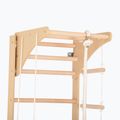 Гимнастическа стълба RINAGYM SPR C+SLIDE 4