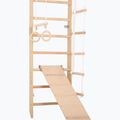 Гимнастическа стълба RINAGYM SPR C+SLIDE 5