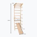 Гимнастическа стълба RINAGYM SPR C+SLIDE 6
