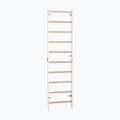 Гимнастическа стълба RINAGYM SPR H white 3