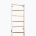 Гимнастическа стълба RINAGYM SPR H white 4