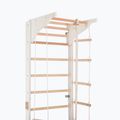 Гимнастическа стълба RINAGYM Pro 2 white 5