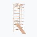 Гимнастическа стълба RINAGYM Pro 3 white 2