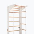 Гимнастическа стълба RINAGYM Pro 3 white 5