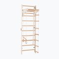Гимнастическа стълба RINAGYM 2W1 gimnastyczna white 4