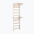 Гимнастическа стълба RINAGYM 2W1 gimnastyczna white 5