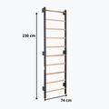 Гимнастическа стълба RINAGYM Steel 1 graphit 9