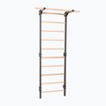 Гимнастическа стълба RINAGYM Steel Pure graphit 2