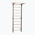 Гимнастическа стълба RINAGYM Steel Pure graphit 3