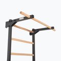 Гимнастическа стълба RINAGYM Steel Pure graphit 6