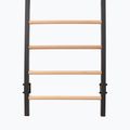 Гимнастическа стълба RINAGYM Steel Pure graphit 8