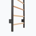 Гимнастическа стълба RINAGYM Steel Pure graphit 9