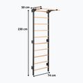 Гимнастическа стълба RINAGYM Steel Pure graphit 12