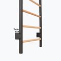 Гимнастическа стълба RINAGYM Steel Pure graphit 13