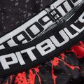 Мъжки гамаши Pitbull West Coast Compr Pants Blood Dog black 3