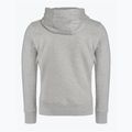 Мъжки суитшърт Pitbull West Coast Hooded Small Logo 21 grey/melange 2