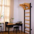 Гимнастическа стълба BenchK черна BK-211B 14
