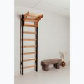 Гимнастическа стълба BenchK черна BK-211B 13