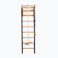 Стълба за гимнастика BenchK черна BK-211B+A076 2
