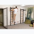 БенчК щанга за издърпване PB 310B черна BK-310B 14