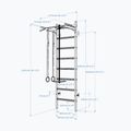 Стълба за гимнастика BenchK черна BK-221B+A076 4