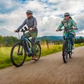Ecobike MX500 LG електрически велосипед син 1010309 19