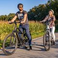 Ecobike MX300 LG електрически велосипед черен 1010307 22