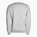 Мъжки суитшърт Pitbull West Coast Crewneck Fern grey/melange 2