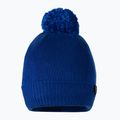 Мъжка зимна шапка Pitbull West Coast Beanie Bubble Small Logo royal blue 2