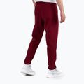 Мъжки панталони Pitbull West Coast Track Pants Athletic burgundy 2