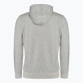 Мъжки суитшърт Pitbull West Coast Hooded Zip Small Logo F.Terry 220 grey/melange 6