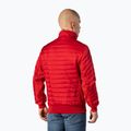 Pitbull West Coast мъжко яке Shadow red 3