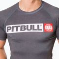 Мъжки рашгард Pitbull West Coast T-S Rash Hilltop grey/melange 4