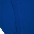 Мъжки суитшърт Pitbull West Coast Hooded Small Logo royal blue 5