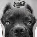 Дамска тениска Pitbull West Coast Ir white 3