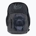 Мъжка раница Pitbull West Coast Pitbull Ir black/grey