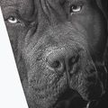 Мъжки гамаши Pitbull West Coast Born in 1989 black 3