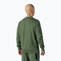 Мъжки суитшърт Pitbull West Coast Beyer Crewneck olive 2