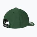 Pitbull Snapback шапка ,,Лого" Hybrid green 2