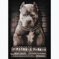 Мъжка тениска Pitbull West Coast Mugshot 2 black 8